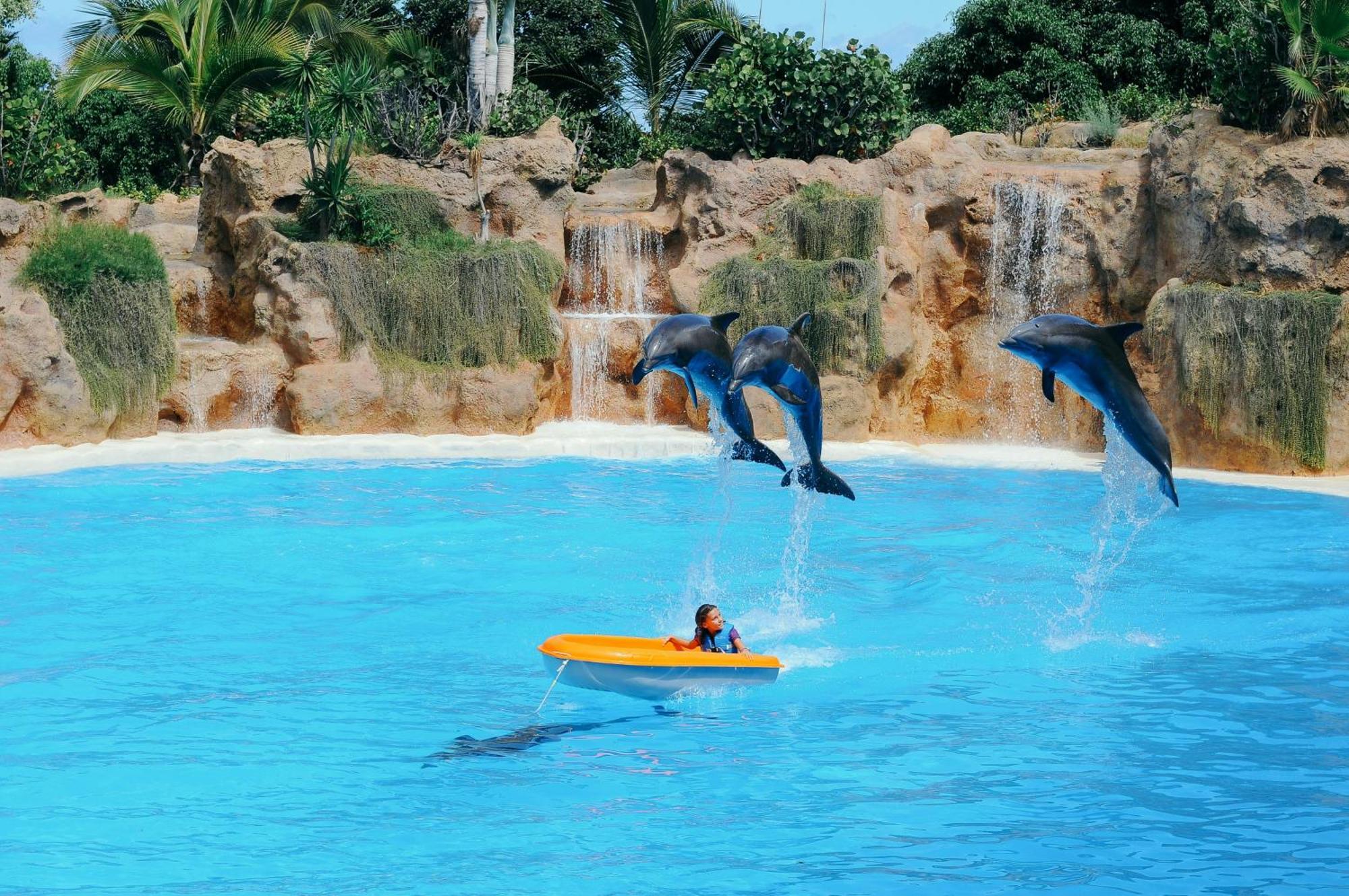 Eden Rentals Moderno Y Coqueto Estudio Con Vistas Puerto de la Cruz  Zewnętrze zdjęcie